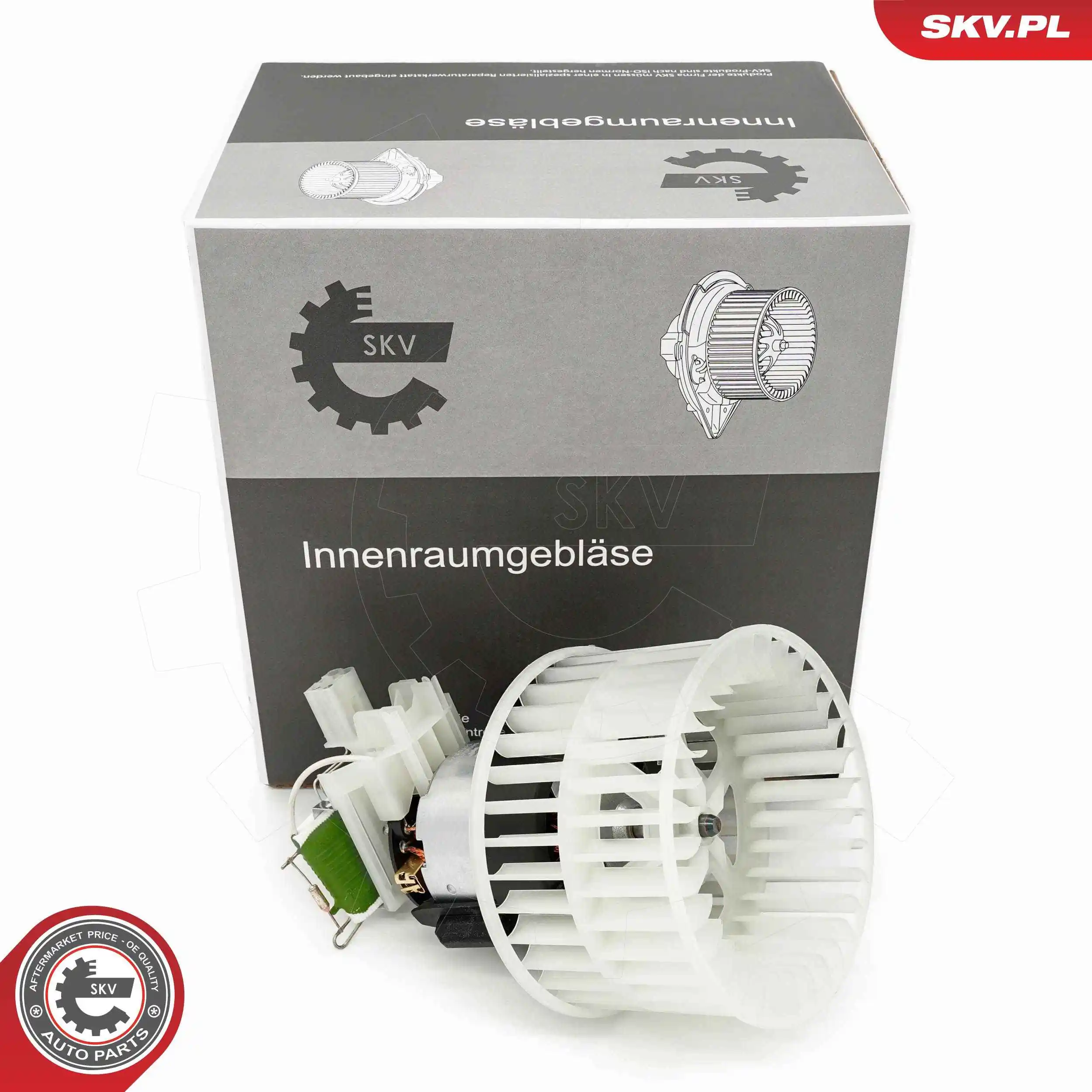 Interior Blower